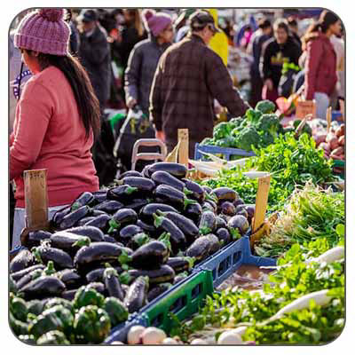 Auckland Food and Market Tours