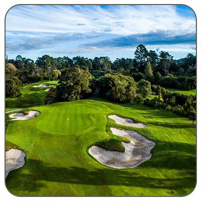 Auckland City Golfing Tours half day