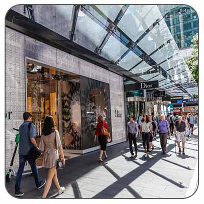 Auckland shopping tours one day