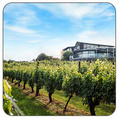 Auckland Wine Tours