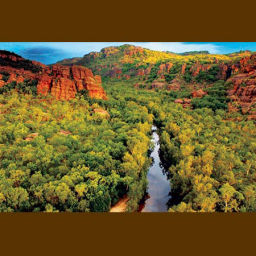 Darwin Outback Tours - Aussie Kiwi Tours