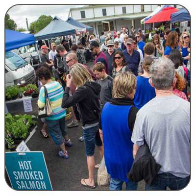 Hamilton New Zealand Food Market Tours