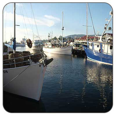 Hobart Tasmania Boating & Charter Tours