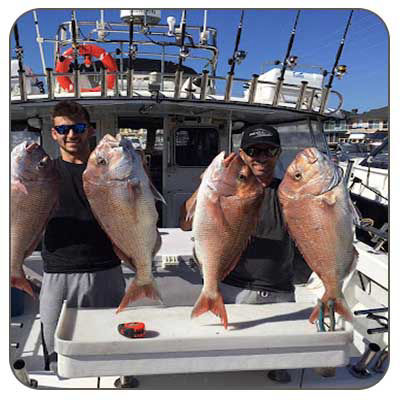 Melbourne Fishing Tours