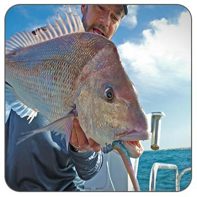 Perth Fishing Tours