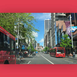 Wellington Half Day Tours With Aussie Kiwi Tours