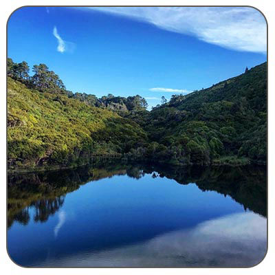 Wellington Nature Tours